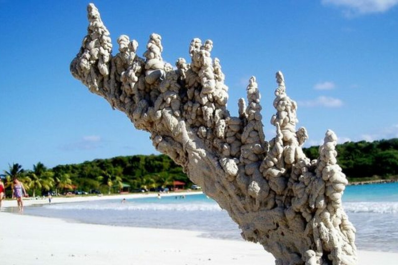 Fulguritas: cuando los rayos convierten arena en vidrio instantáneamente